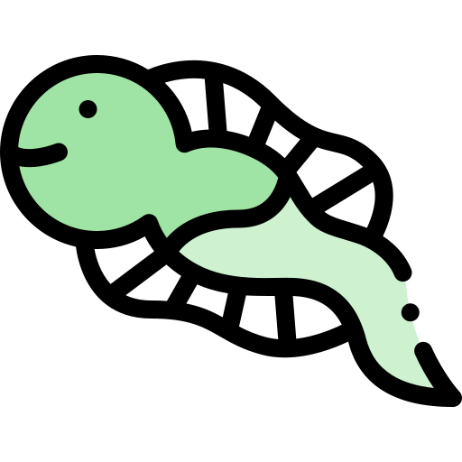 Tadpole Icon